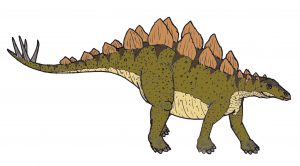 Stegosaurus 0684 wikipedia 1